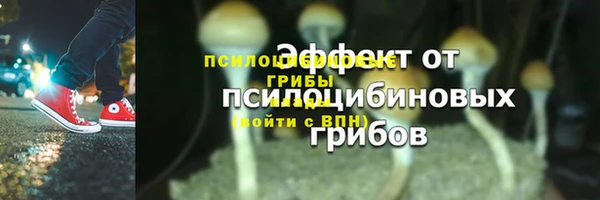ешки Вязники
