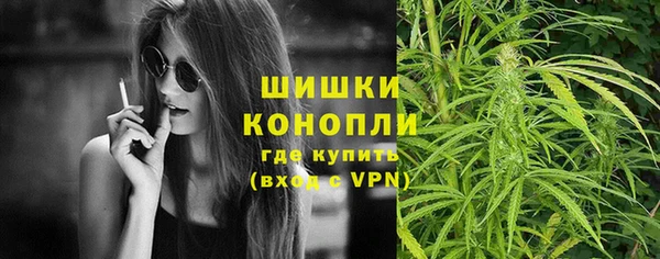 mdpv Вяземский