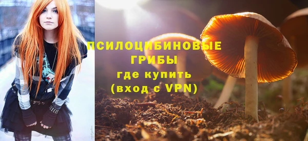 mdpv Вяземский