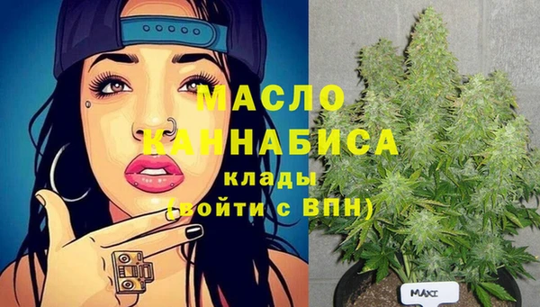 mdpv Вяземский