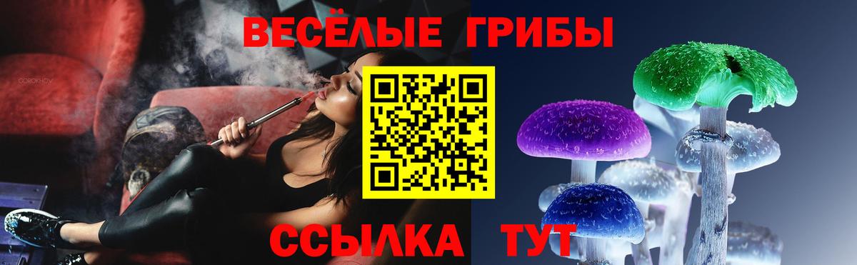 Ярцево  Псилоцибиновые грибы Cubensis  Галлюциногенные грибы GOLDEN TEACHER  Вход с VPN 